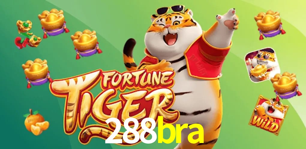 Experiência VIP 288bra