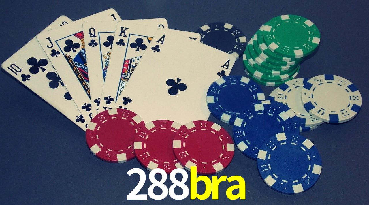 Bonus Features 288bra